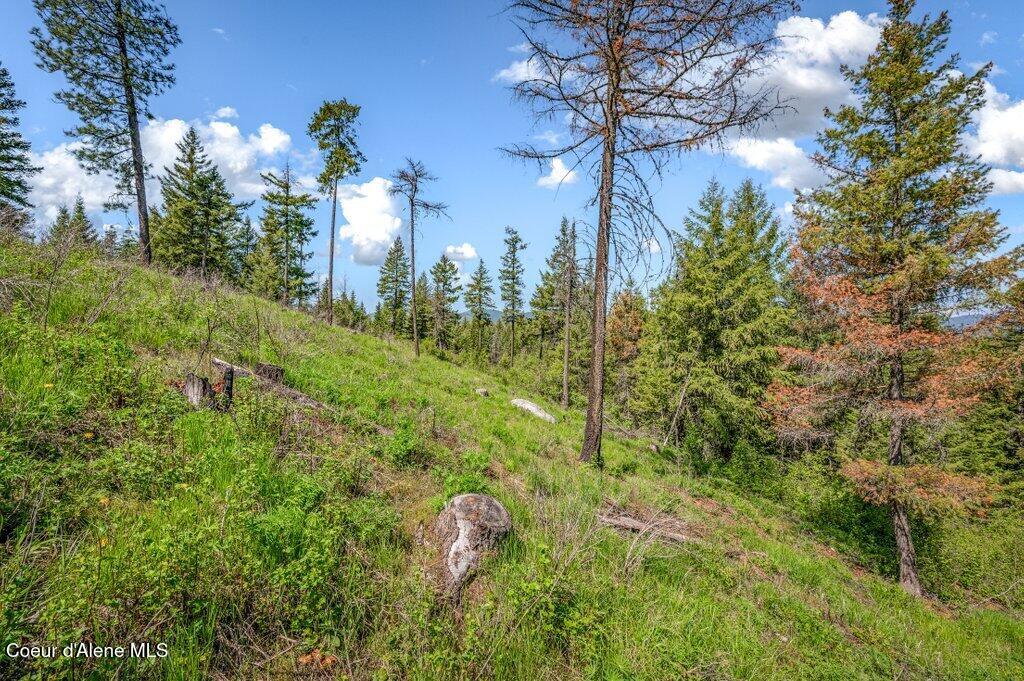 3183 Eastside Road Priest River, ID 83856 - Photo 55 of 85 Hillside