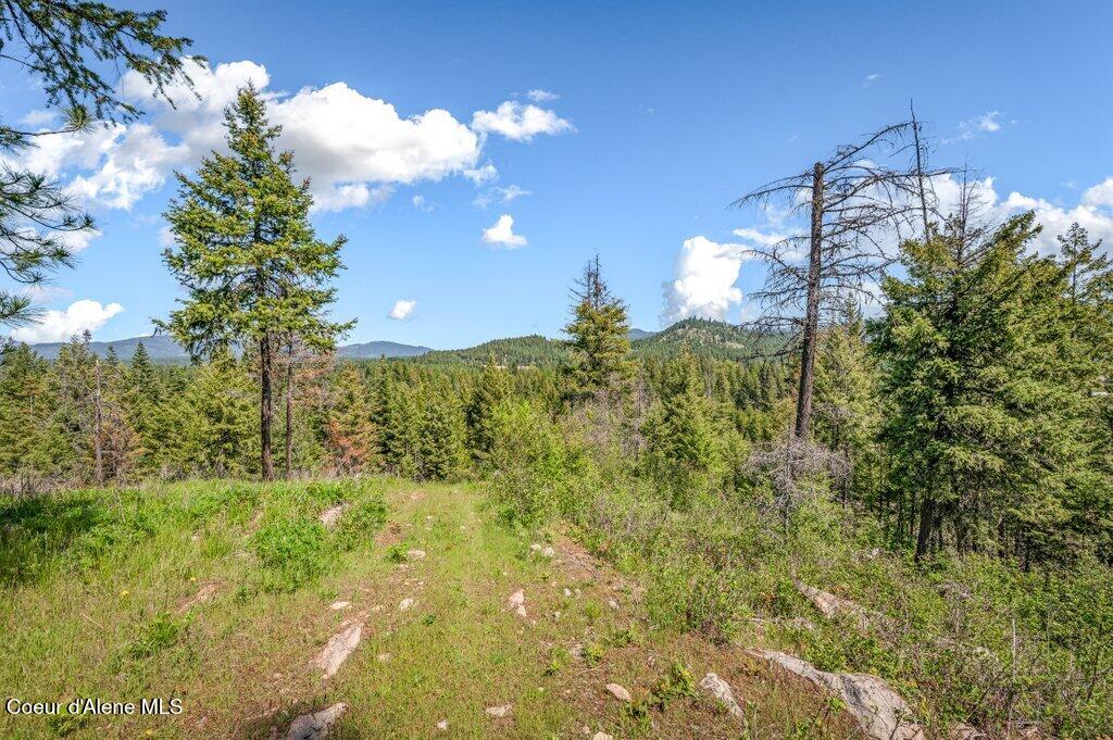 3183 Eastside Road Priest River, ID 83856 - Photo 56 of 85 Top w/views