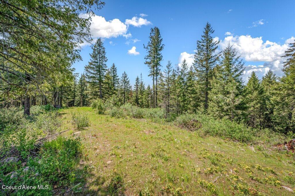 3183 Eastside Road Priest River, ID 83856 - Photo 58 of 85 Top w/views