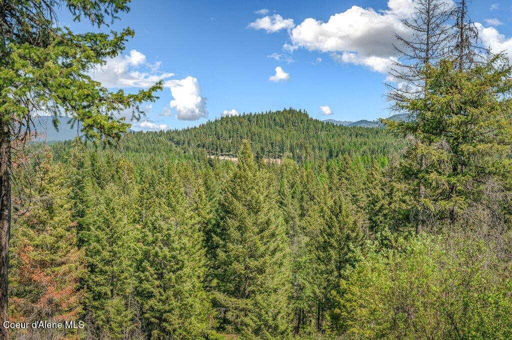 3183 Eastside Road Priest River, ID 83856 - Photo 61 of 85 Top w/views