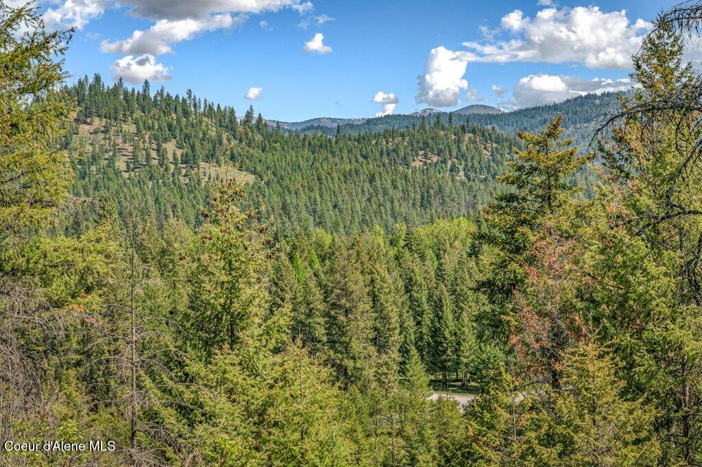 3183 Eastside Road Priest River, ID 83856 - Photo 62 of 85 Top w/views