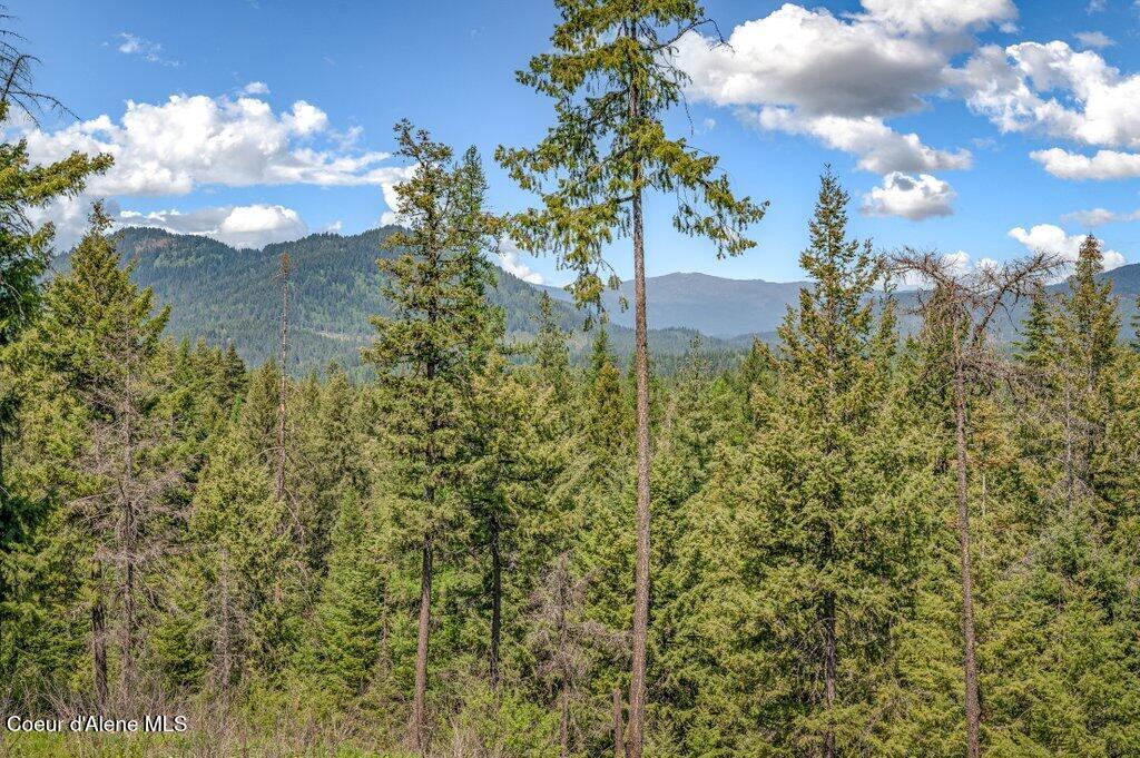 3183 Eastside Road Priest River, ID 83856 - Photo 63 of 85 Top w/views