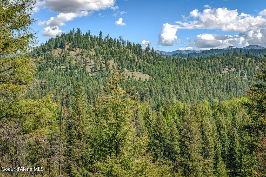 3183 Eastside Road Priest River, ID 83856 - Photo 64 of 85 Top w/views