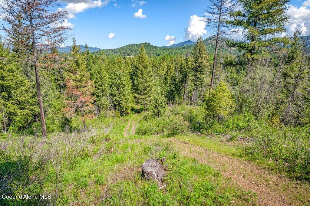 3183 Eastside Road Priest River, ID 83856 - Photo 66 of 85 Top w/views