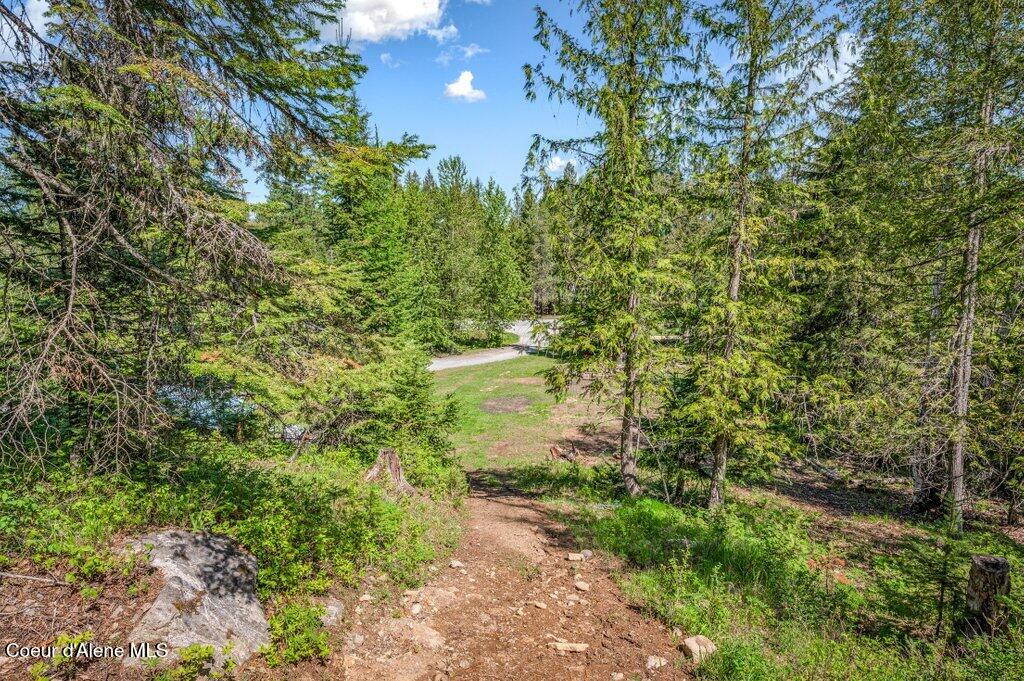 3183 Eastside Road Priest River, ID 83856 - Photo 67 of 85 Top of property