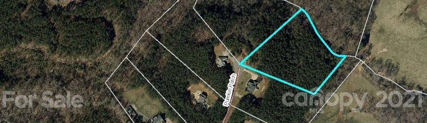 0 Pumkin Patch Road Rutherfordton, NC 28139 - Photo 1 of 1