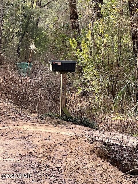 5270 Choctaw Road Vernon, FL 32462 - Photo 20 of 29