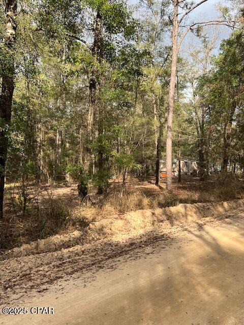 5270 Choctaw Road Vernon, FL 32462 - Photo 24 of 29