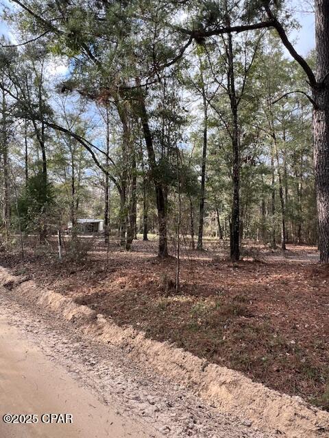 5270 Choctaw Road Vernon, FL 32462 - Photo 25 of 29