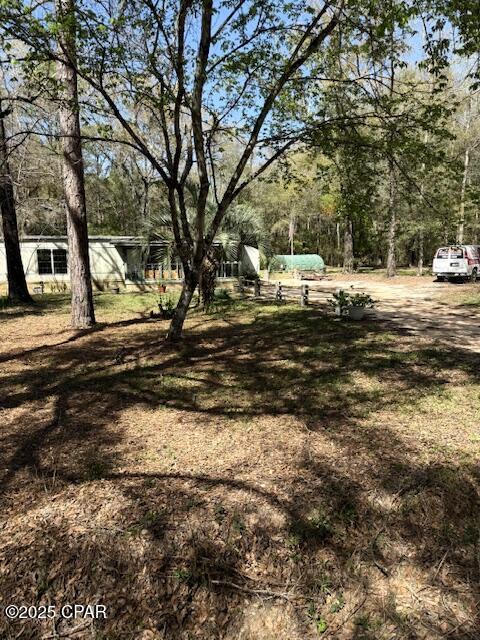5270 Choctaw Road Vernon, FL 32462 - Photo 3 of 29