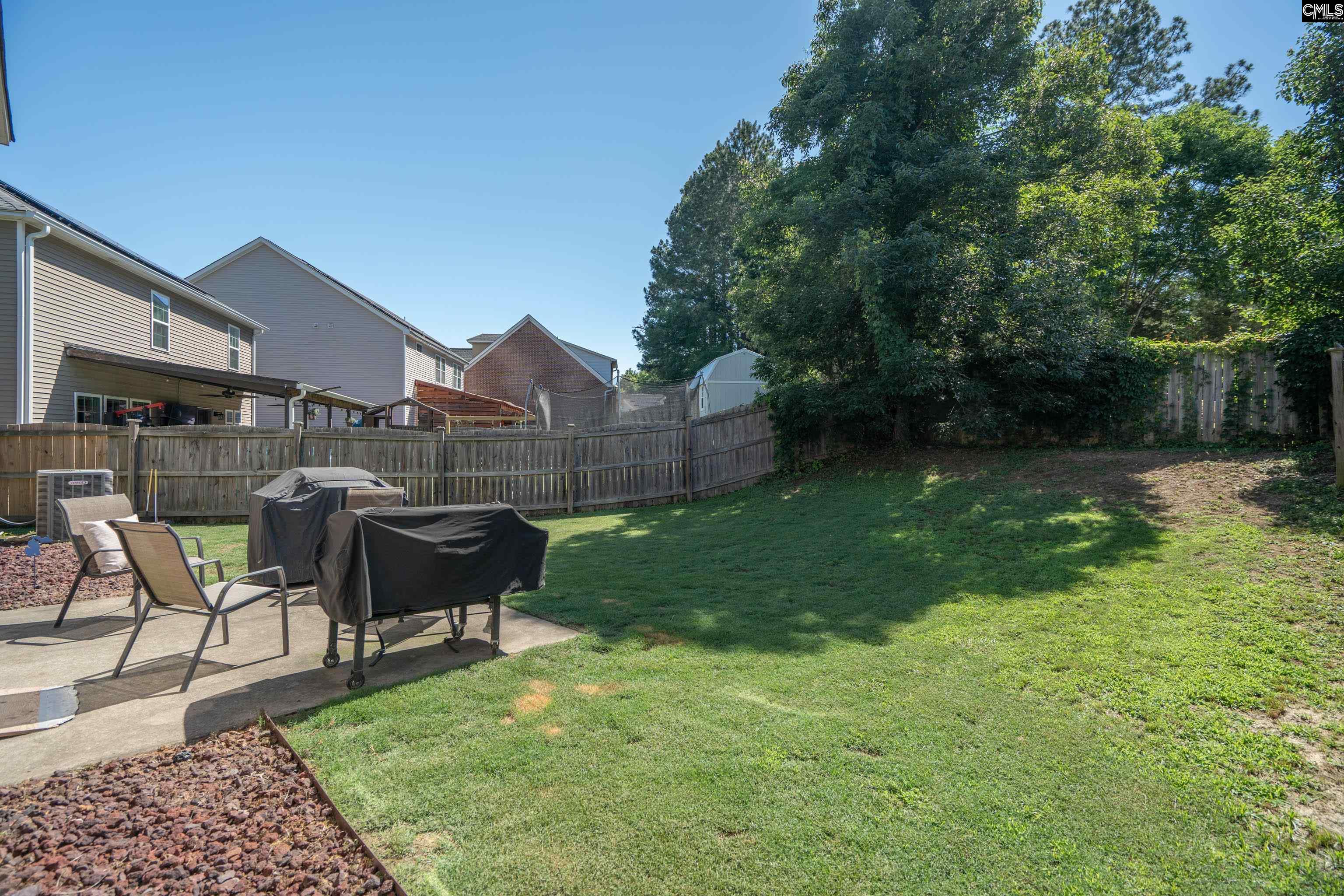133 Palm Street Chapin, SC 29036 - Photo 32 of 37