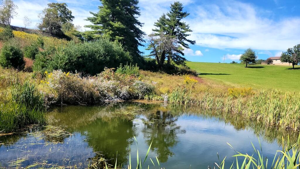 1011 Wilson Cemetery Road Northeast Check, VA 24072 - Photo 35 of 41 35
