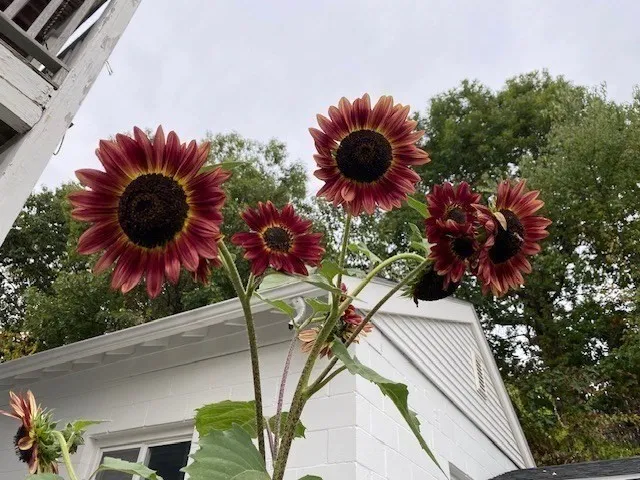 $1,999,000 | 35 Heron Street, Boston, MA 02132