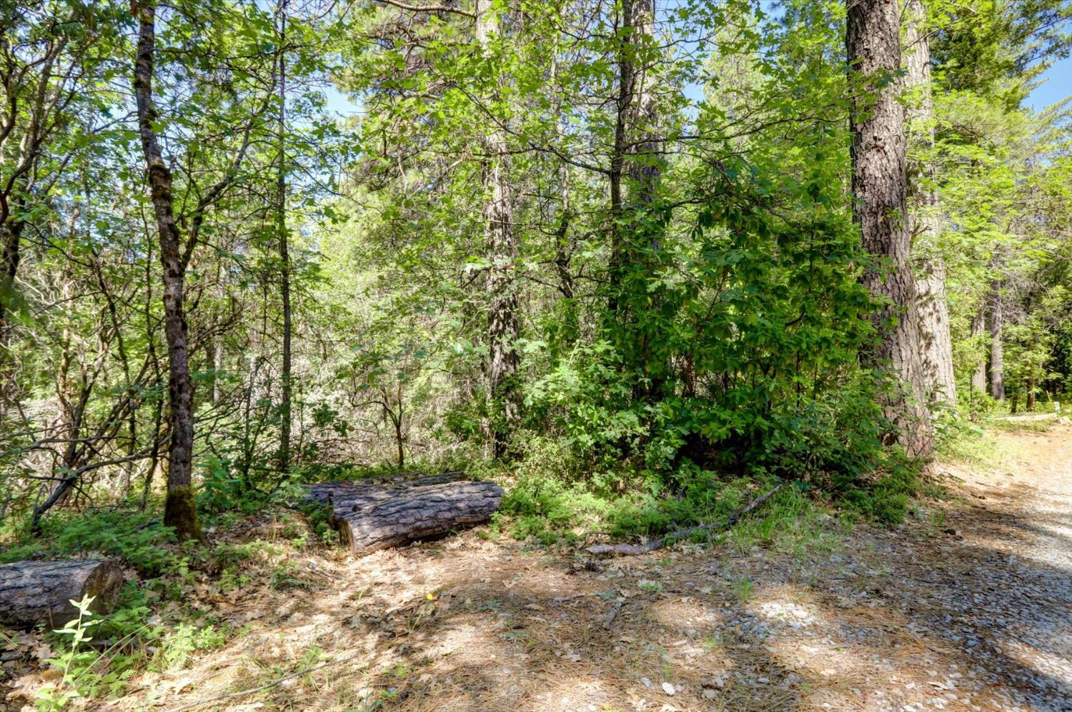 17390 Skyland Road Nevada City, CA 95959 - Photo 16 of 17