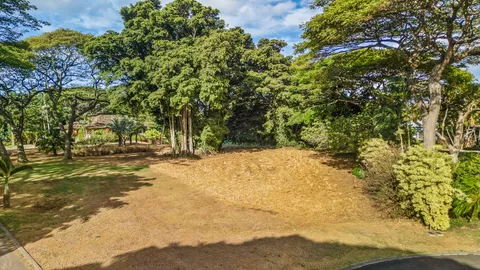 a view of outdoor space yard and tree