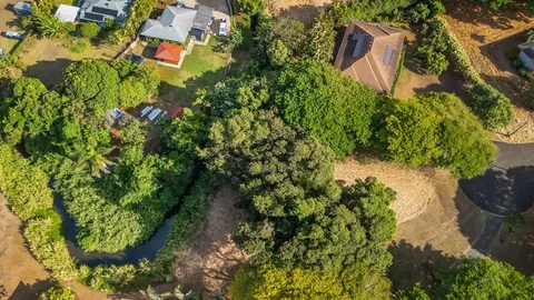 a plant that is in a garden