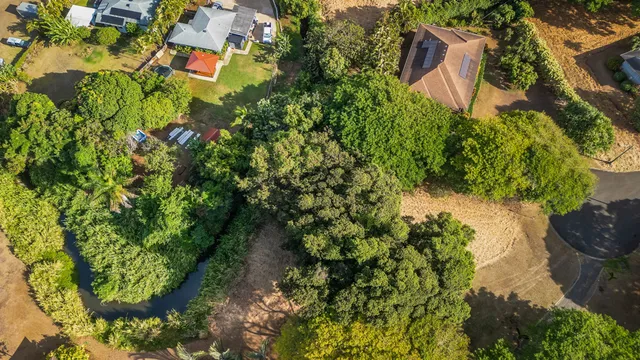 a plant that is in a garden