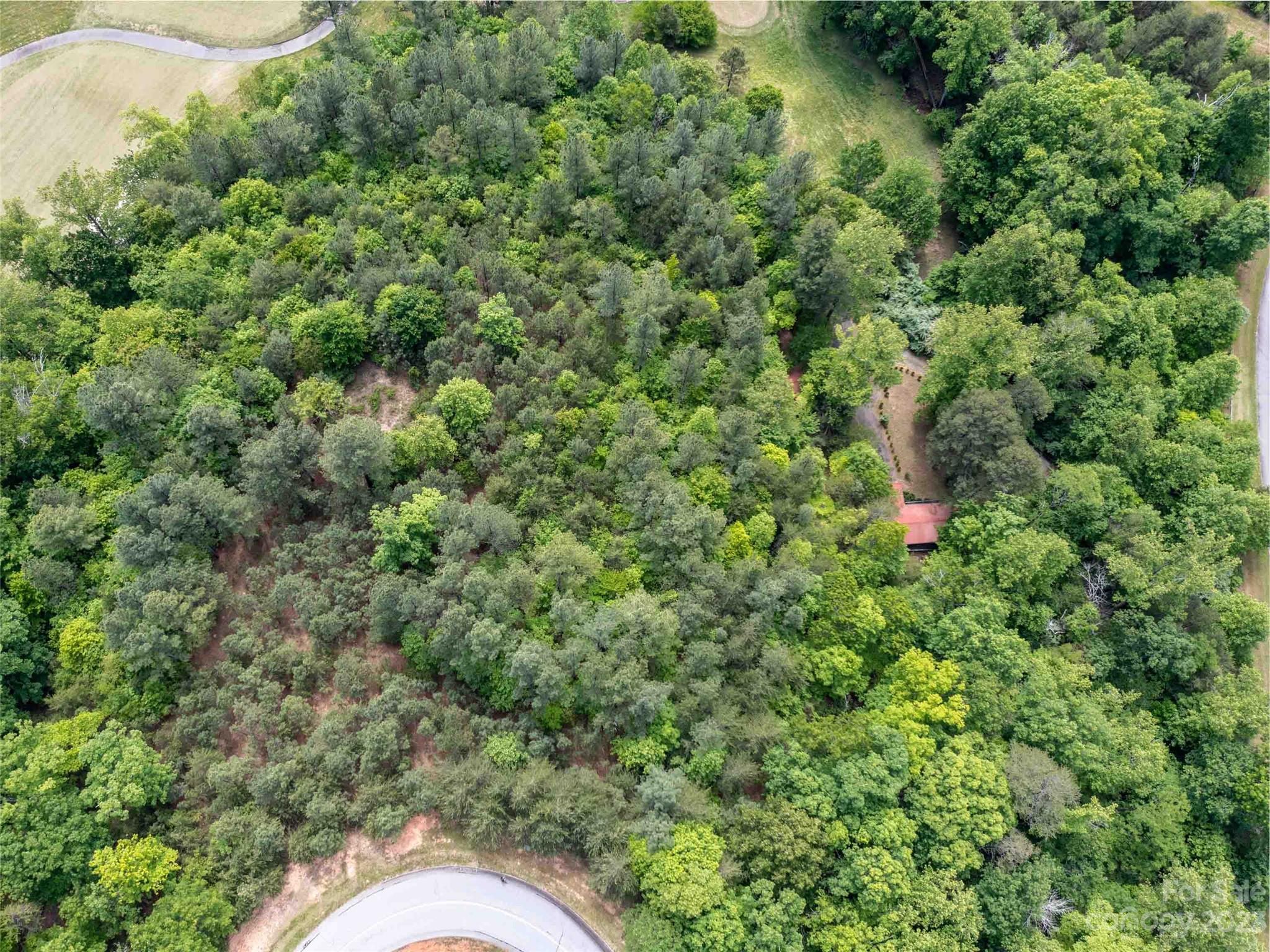 Lot 116 Deep Gap Farm Road East Mill Spring, NC 28756 - Photo 3 of 5