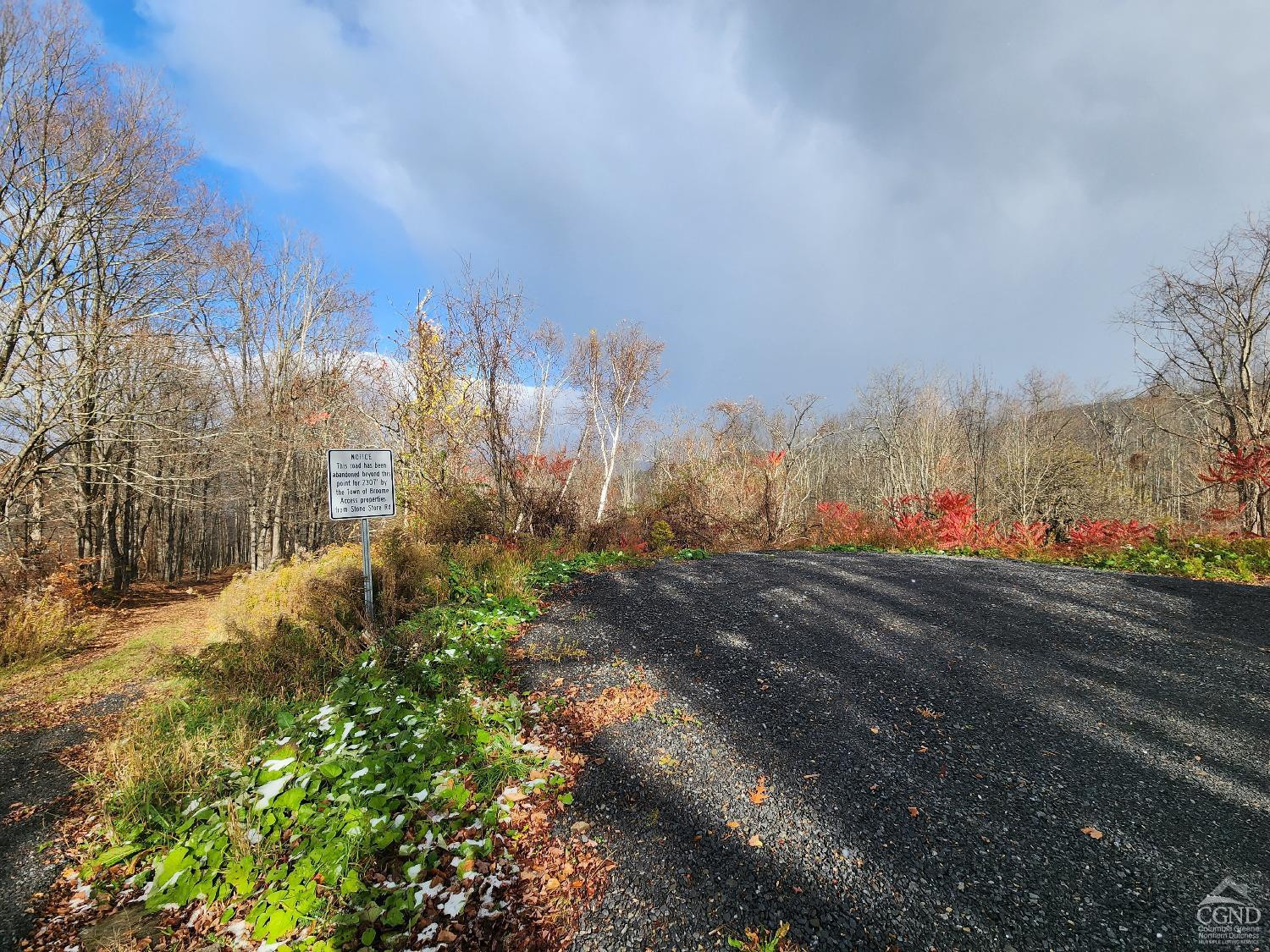 172 Mace Hill Road Middleburgh, NY 12122 - Photo 11 of 15 Photo 12