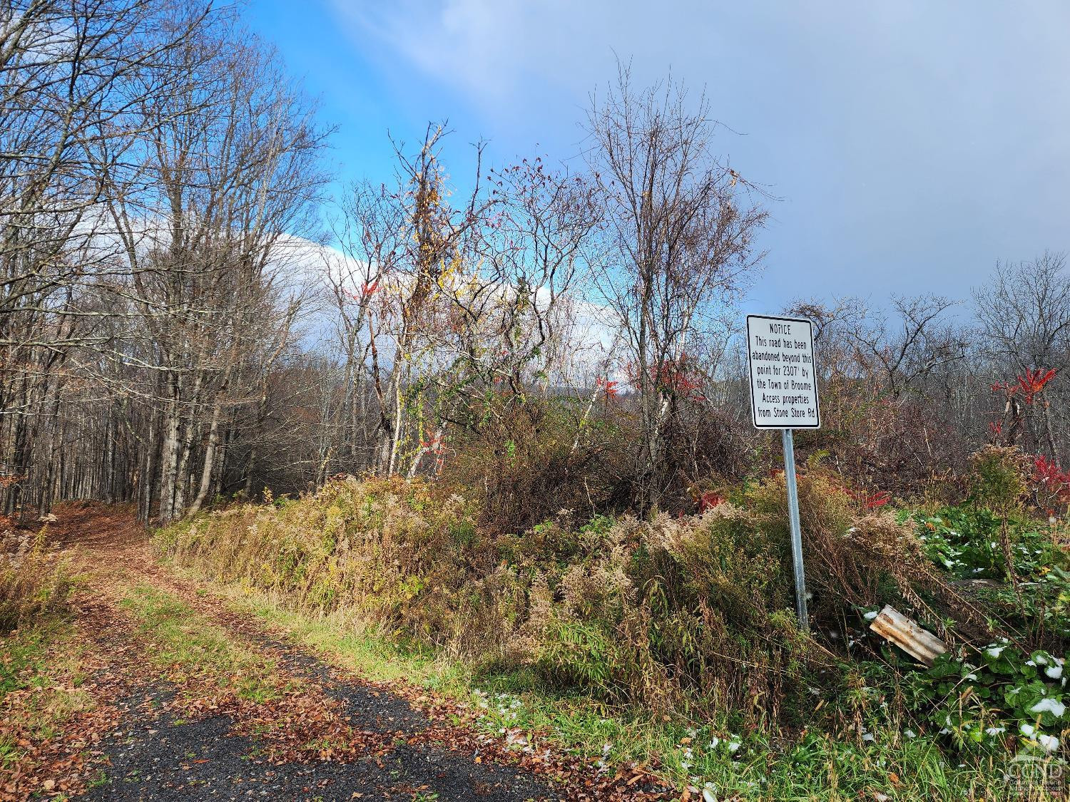 172 Mace Hill Road Middleburgh, NY 12122 - Photo 13 of 15 Photo 15