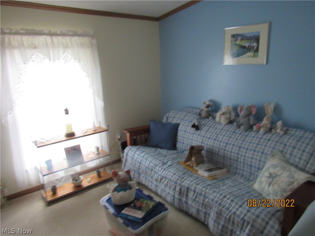1724 Bridge Street Dresden, OH 43821 - Photo 14 of 22