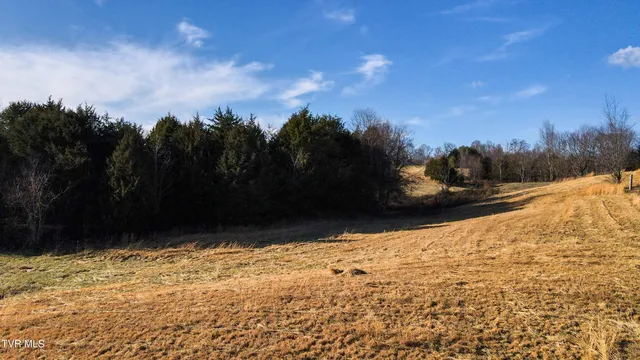 $163,000 | 13720 Kingsport Highway, Unit 8, Chuckey, TN 37641