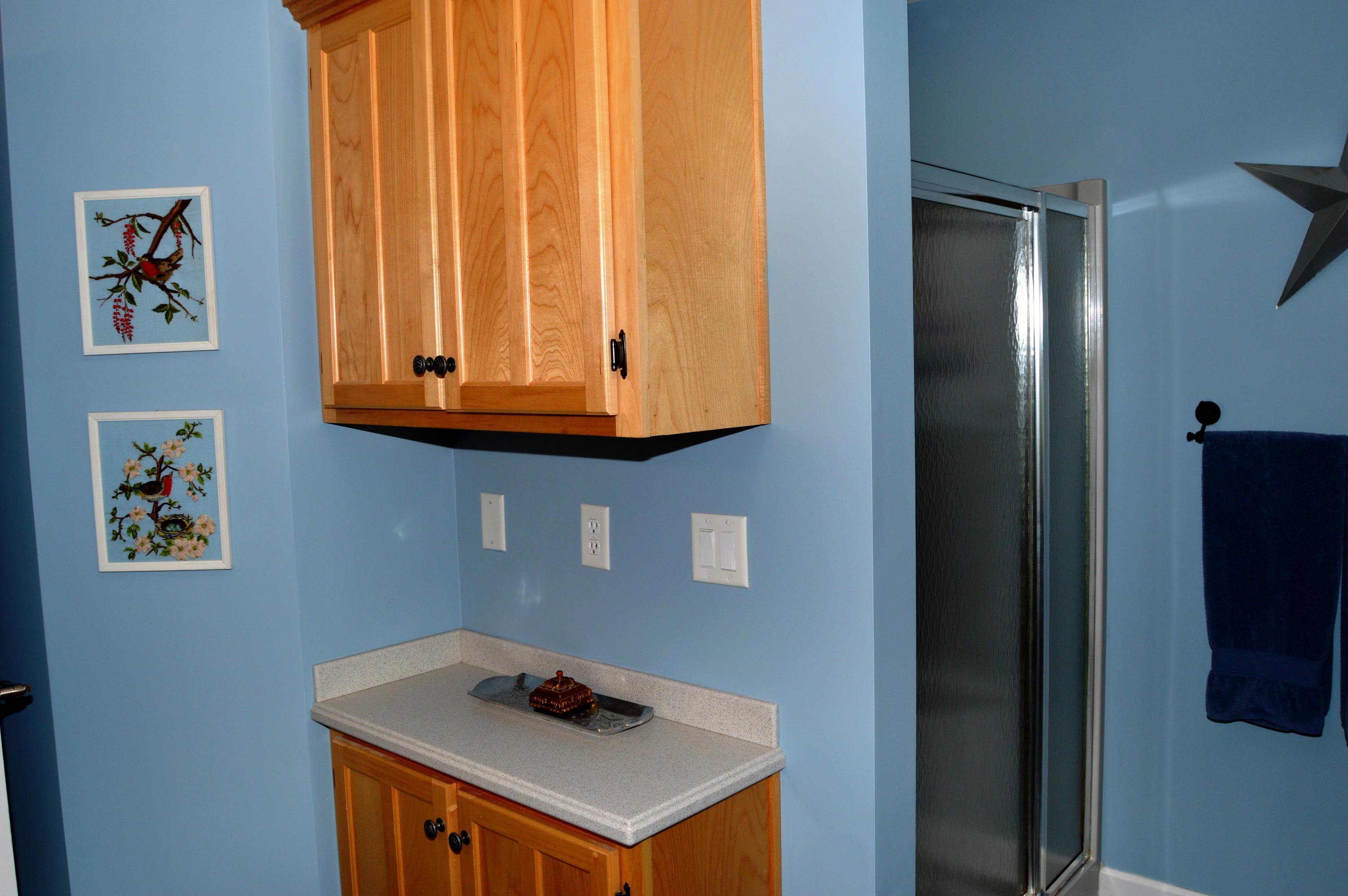 9127 Rocky Point Road Soddy Daisy, TN 37379 - Photo 23 of 51 Shower and Cabinet in Master Bath