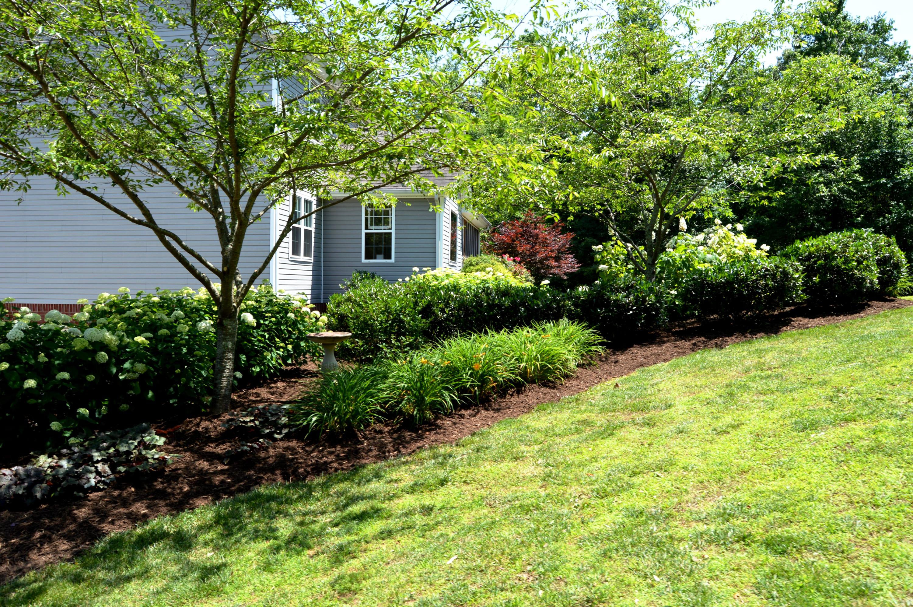 9127 Rocky Point Road Soddy Daisy, TN 37379 - Photo 37 of 51 Back Yard 4