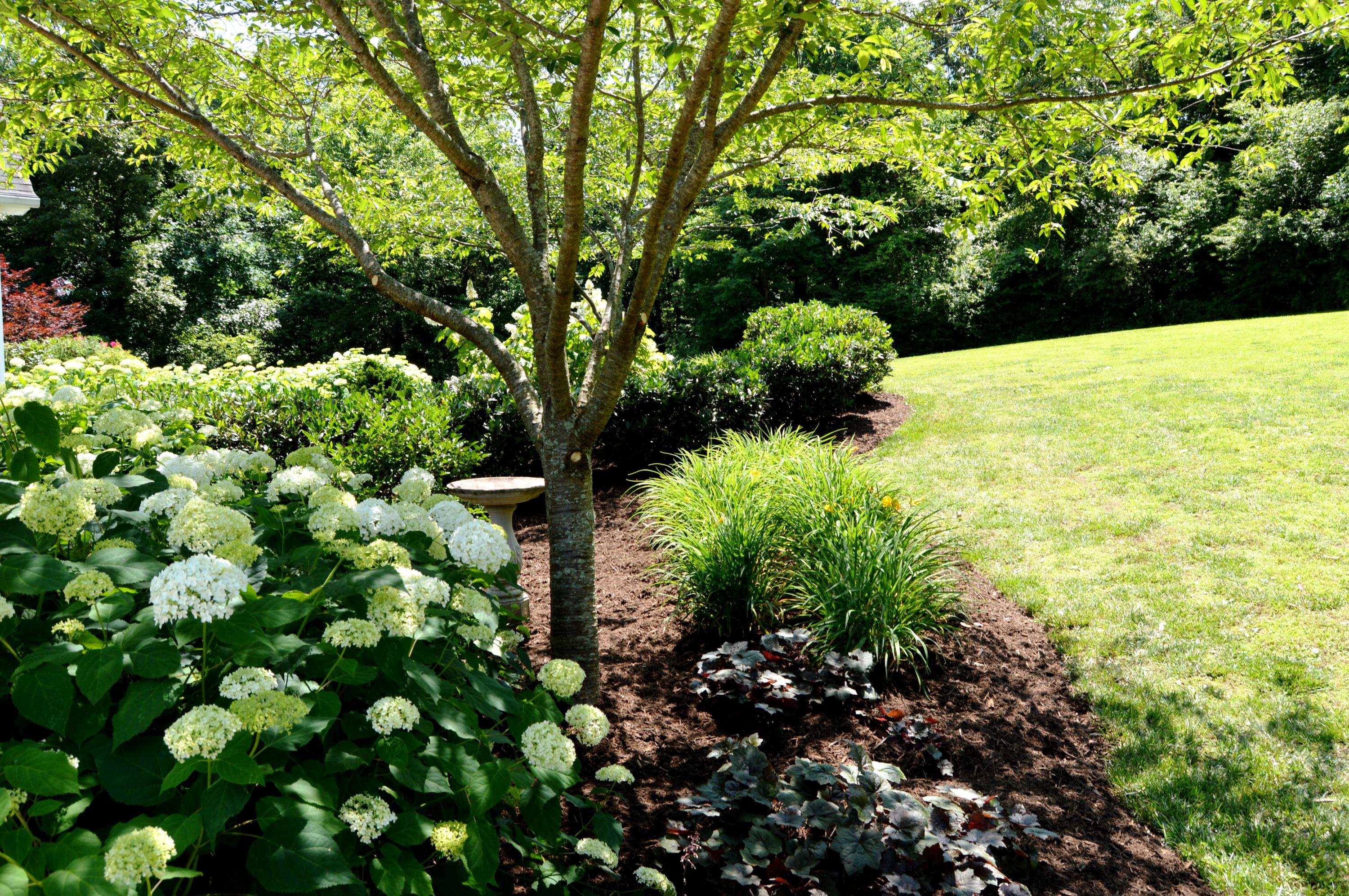 9127 Rocky Point Road Soddy Daisy, TN 37379 - Photo 38 of 51 Back Yard 5