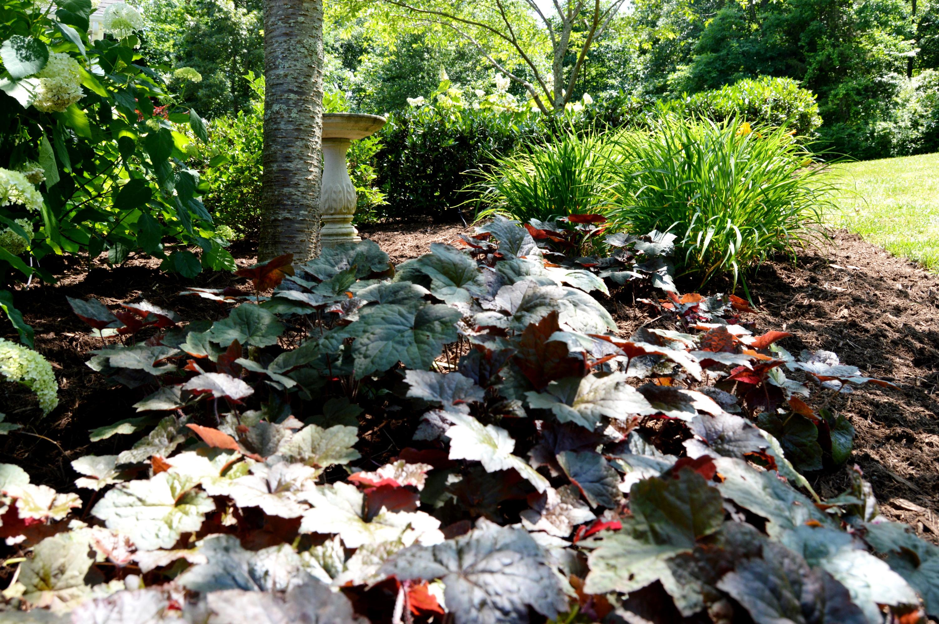 9127 Rocky Point Road Soddy Daisy, TN 37379 - Photo 39 of 51 Back Yard 6 ground cover