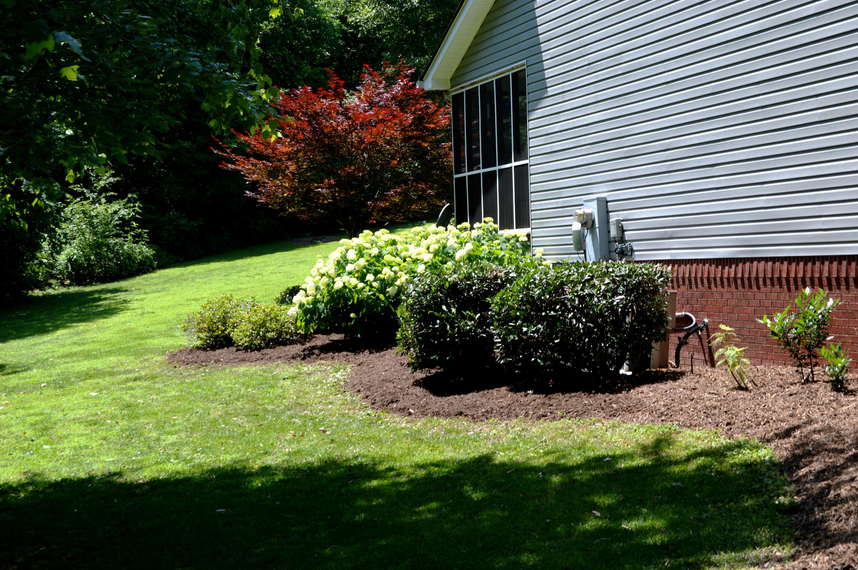 9127 Rocky Point Road Soddy Daisy, TN 37379 - Photo 41 of 51 Side Yard
