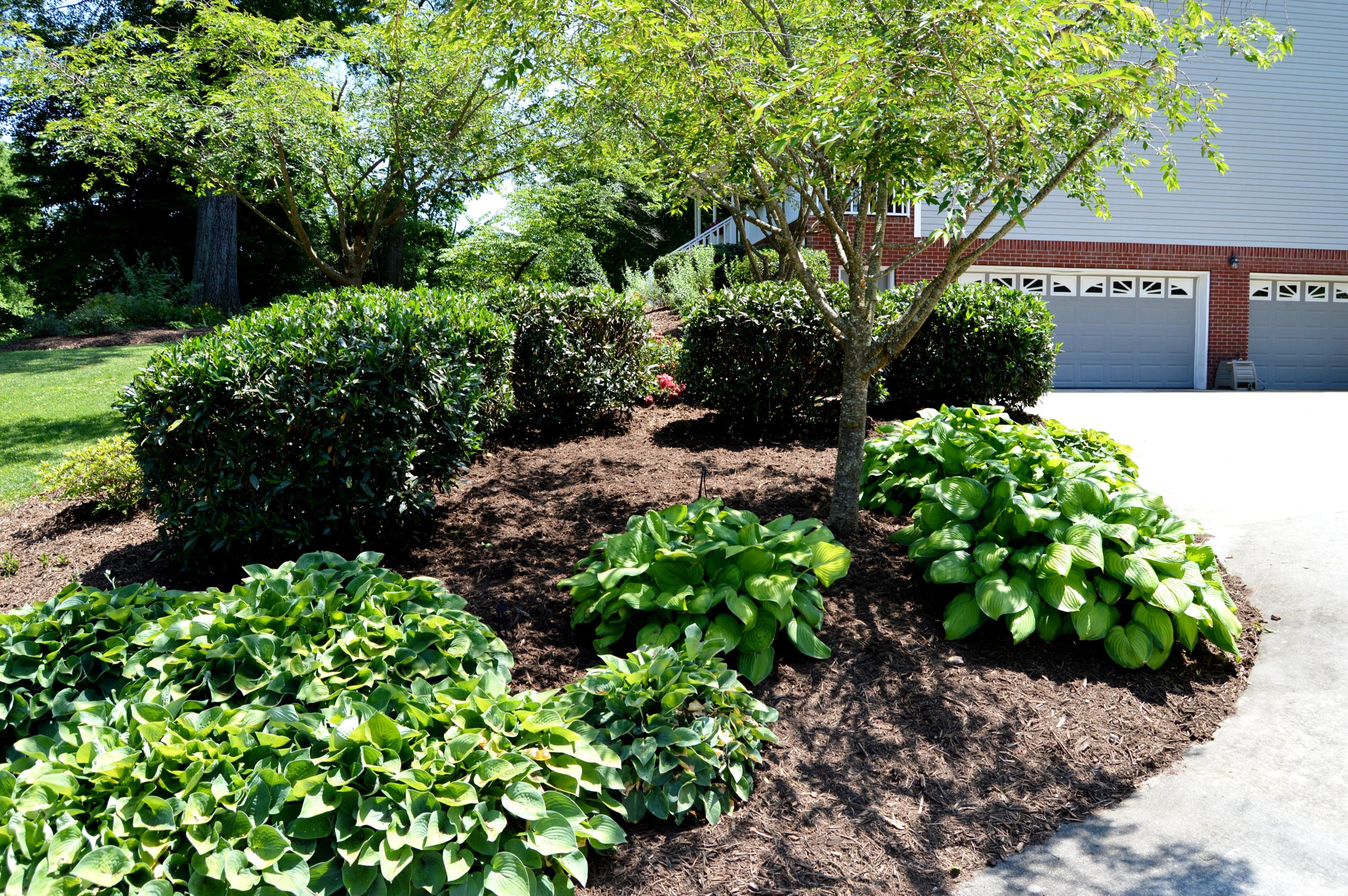 9127 Rocky Point Road Soddy Daisy, TN 37379 - Photo 42 of 51 Landscaping 1