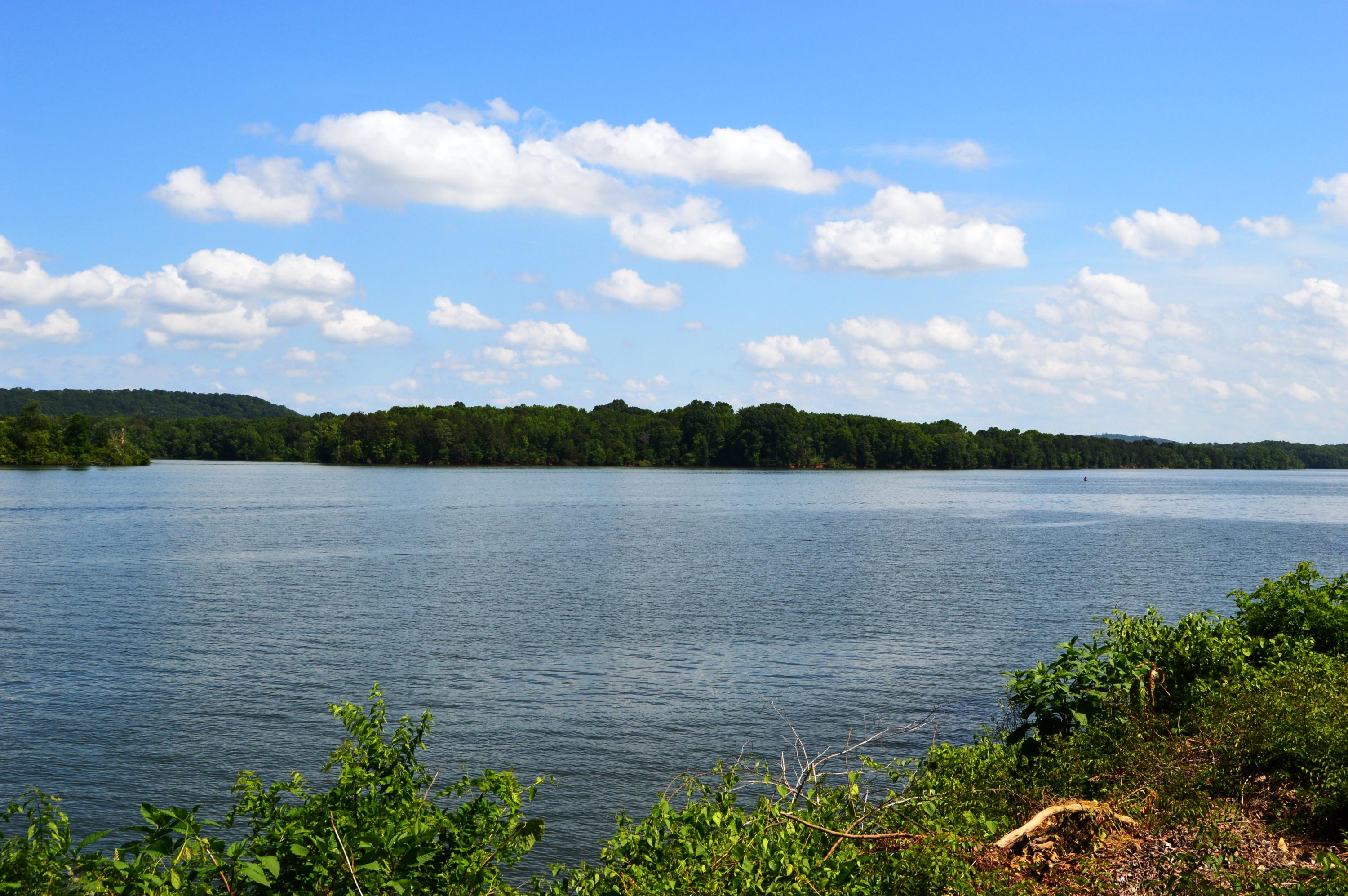 9127 Rocky Point Road Soddy Daisy, TN 37379 - Photo 49 of 51 Lake 4