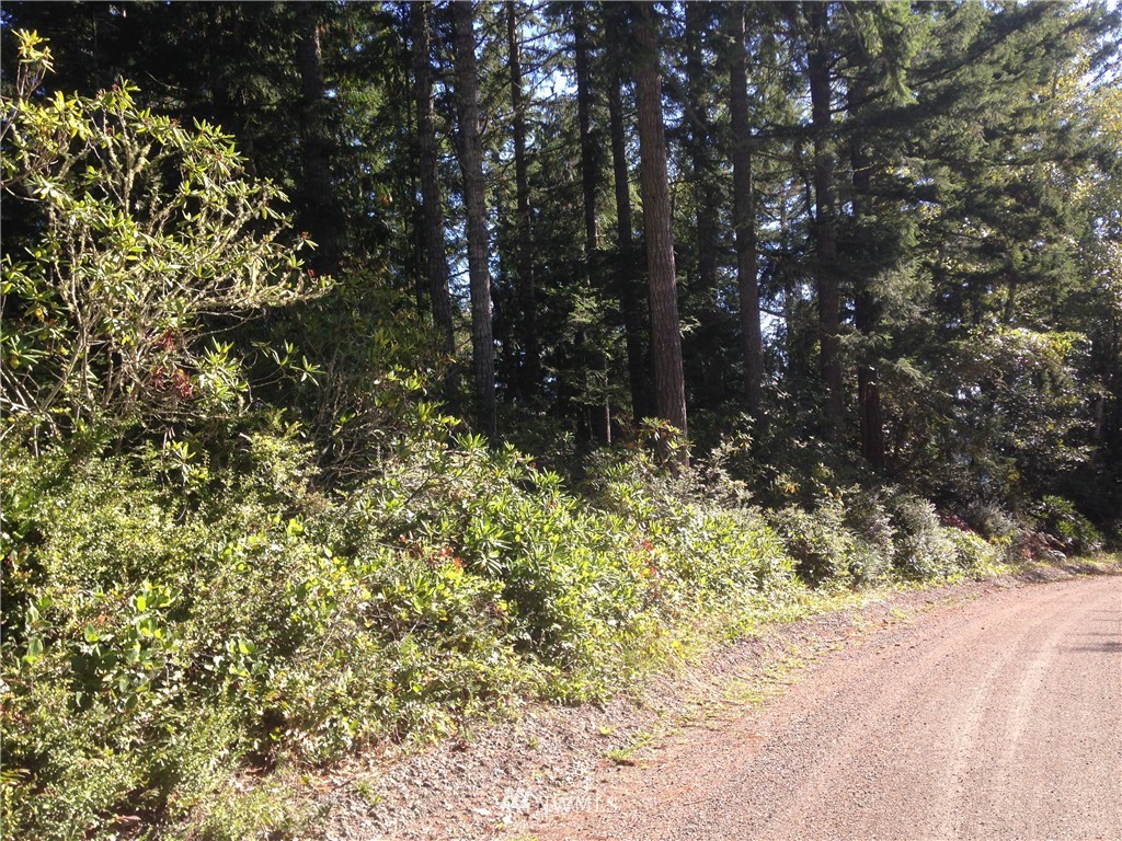 9999 Whitney Road Quilcene, WA 98376 - Photo 2 of 5 Gallery Image 2