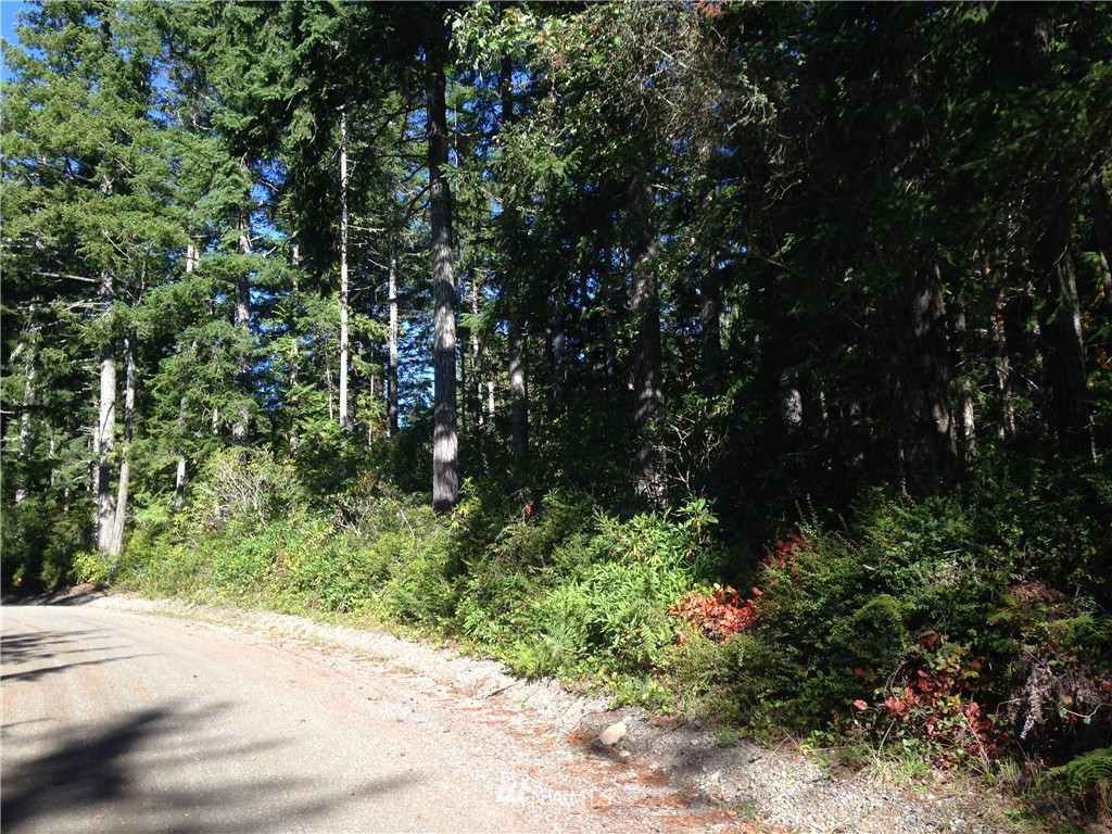 9999 Whitney Road Quilcene, WA 98376 - Photo 4 of 5 Gallery Image 4