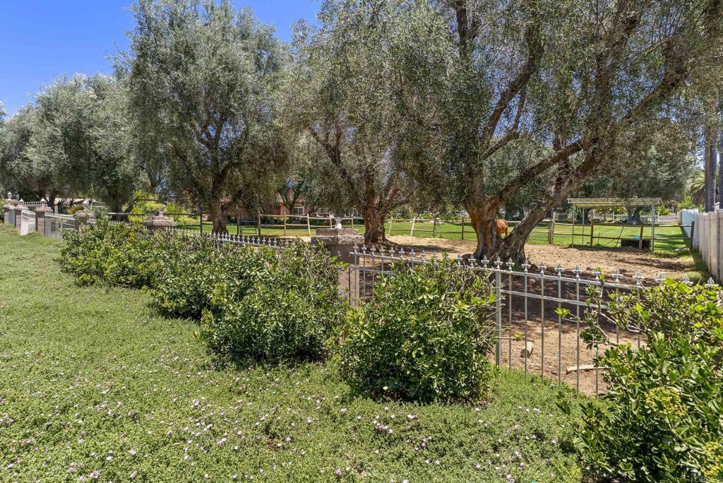 2365 Shaylene Way Alpine, CA 91901 - Photo 41 of 57