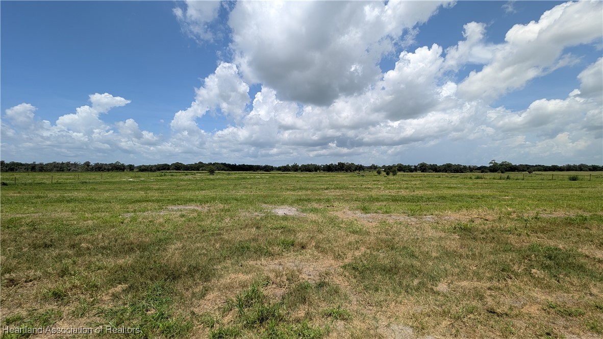 Johnston Road Zolfo Springs, FL 33890 - Photo 5 of 10