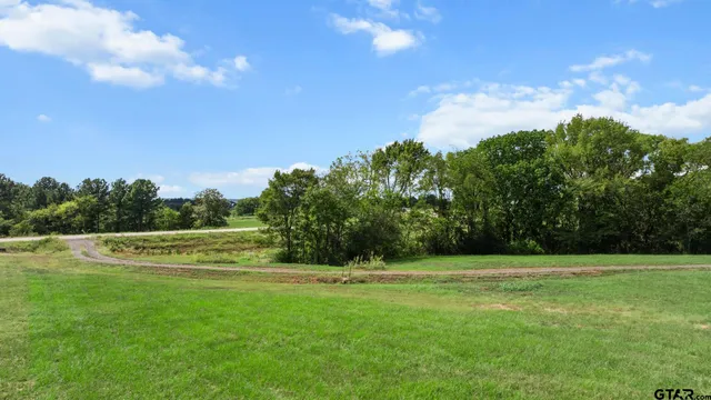 $125,000 | 16622 Caeli Hts Court, Winona, TX 75792