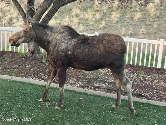 $1,150,000 | 6011 East Joseph Lane, Spokane, WA 99217