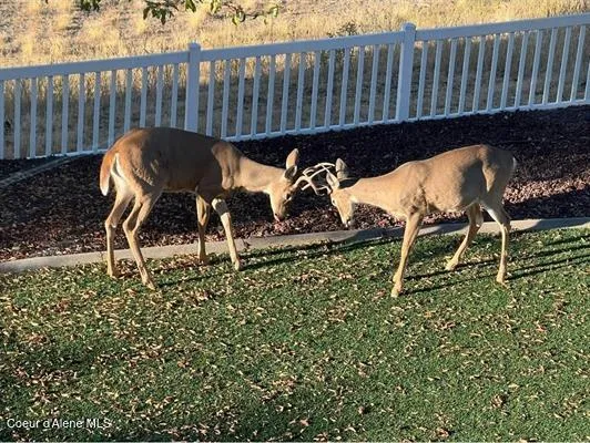 $1,150,000 | 6011 East Joseph Lane, Spokane, WA 99217