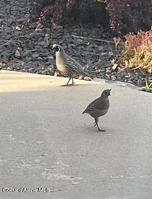 $1,150,000 | 6011 East Joseph Lane, Spokane, WA 99217