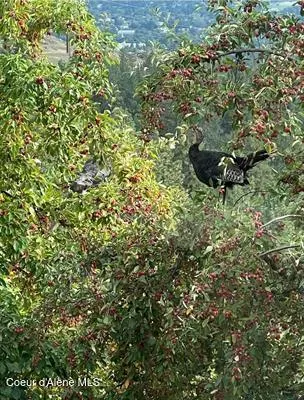 $1,150,000 | 6011 East Joseph Lane, Spokane, WA 99217