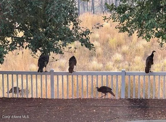 $1,150,000 | 6011 East Joseph Lane, Spokane, WA 99217