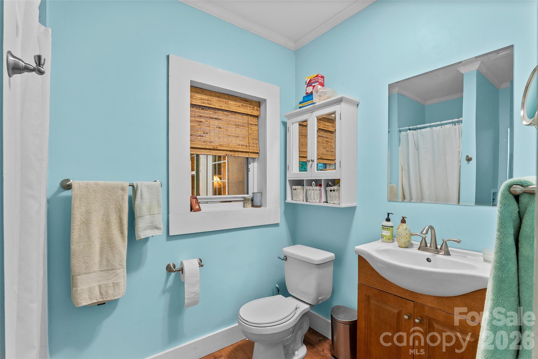 1087 North Turkey Creek Road Leicester, NC 28748 - Photo 19 of 40