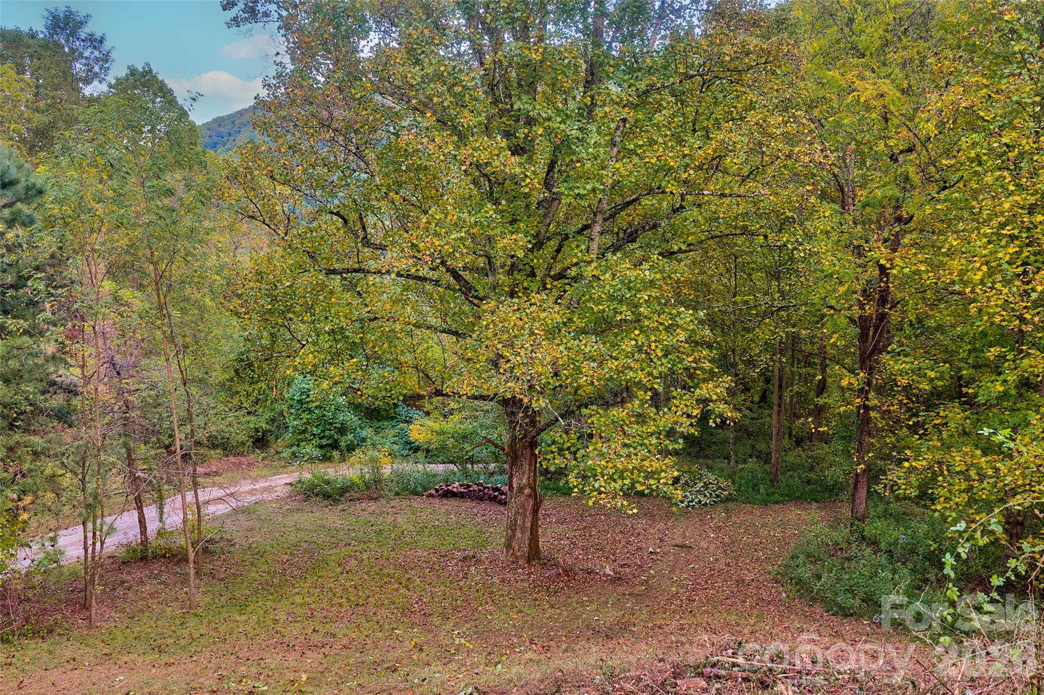 1087 North Turkey Creek Road Leicester, NC 28748 - Photo 28 of 40