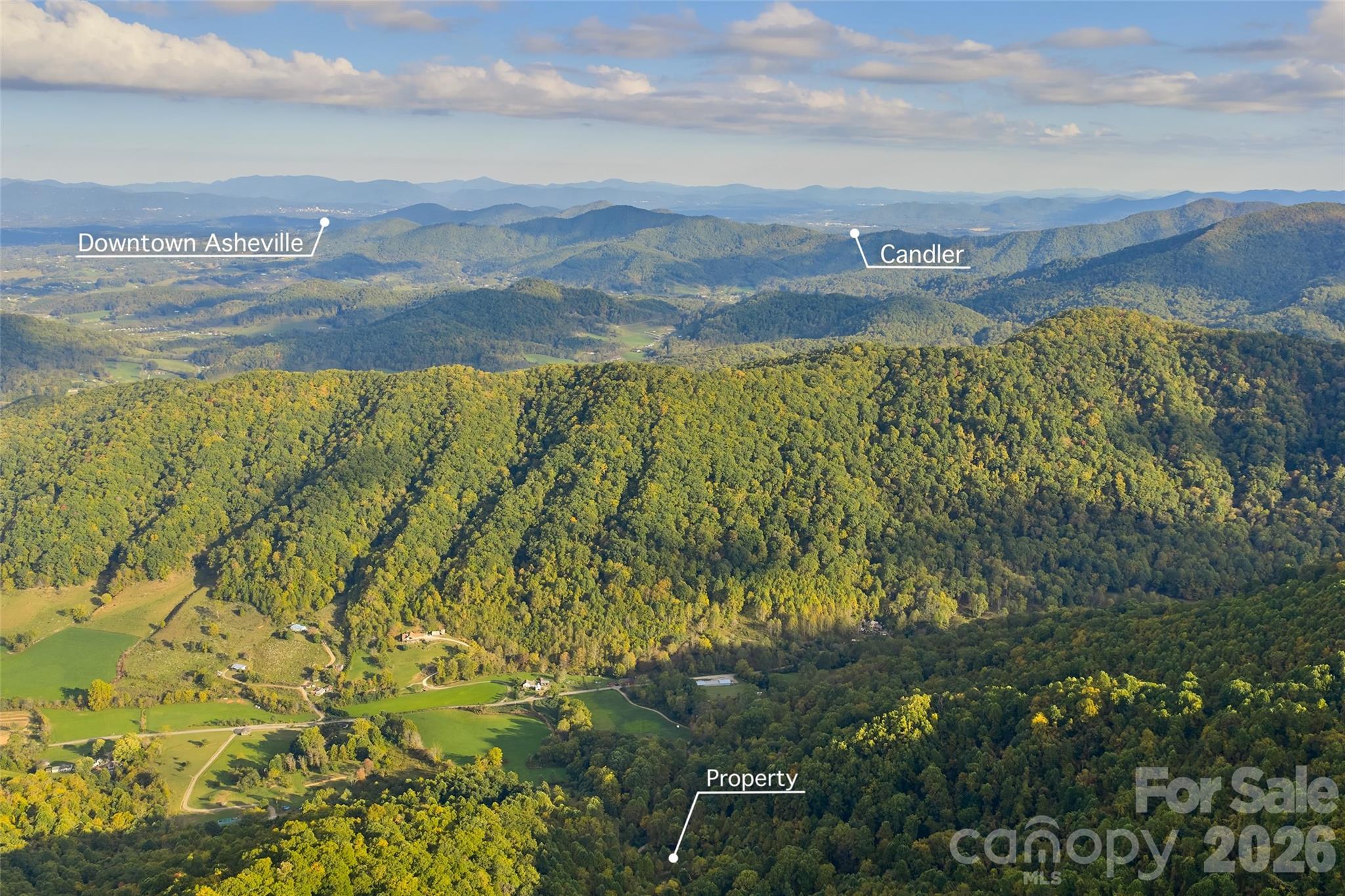 1087 North Turkey Creek Road Leicester, NC 28748 - Photo 29 of 40