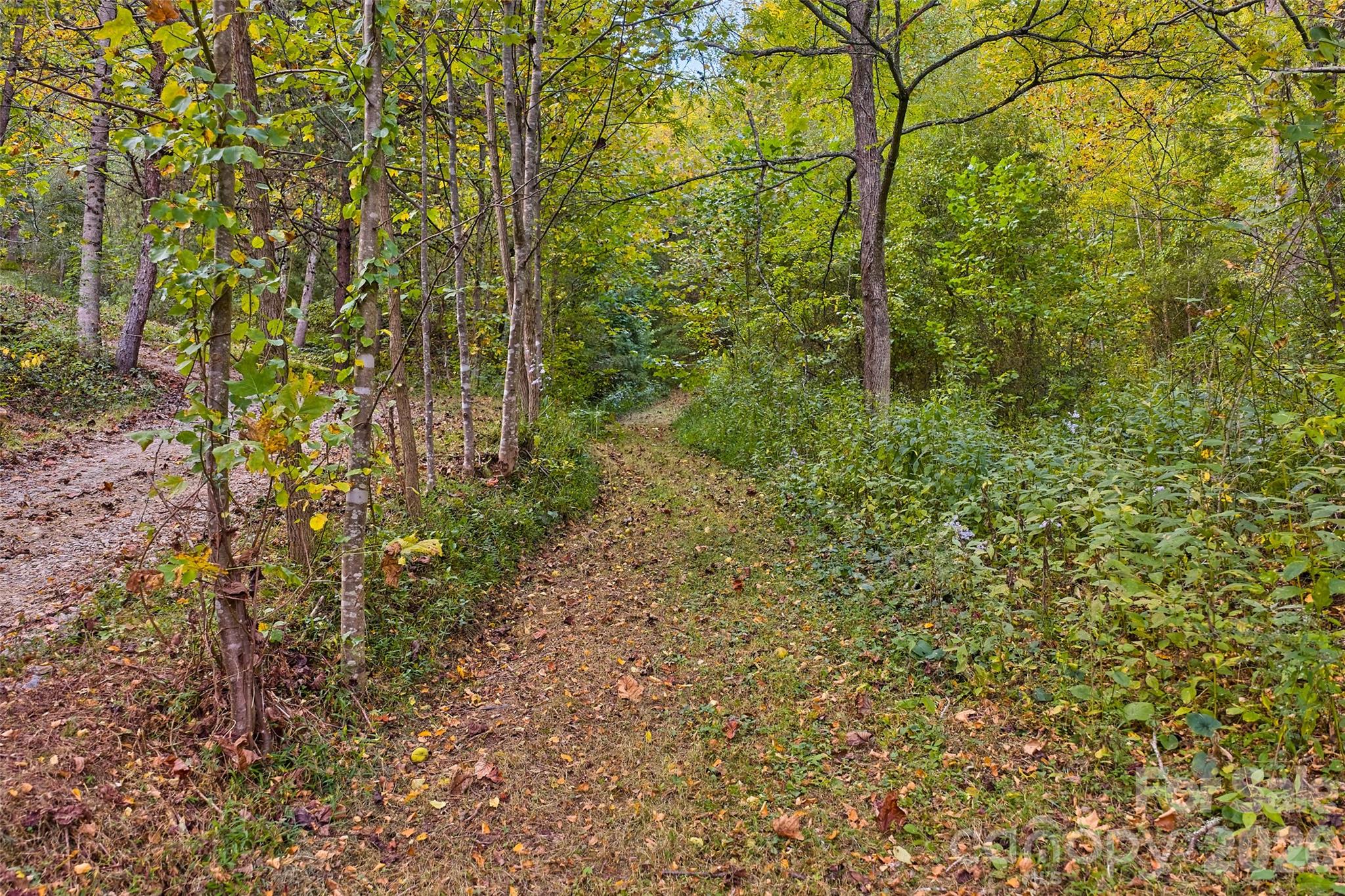 1087 North Turkey Creek Road Leicester, NC 28748 - Photo 35 of 40