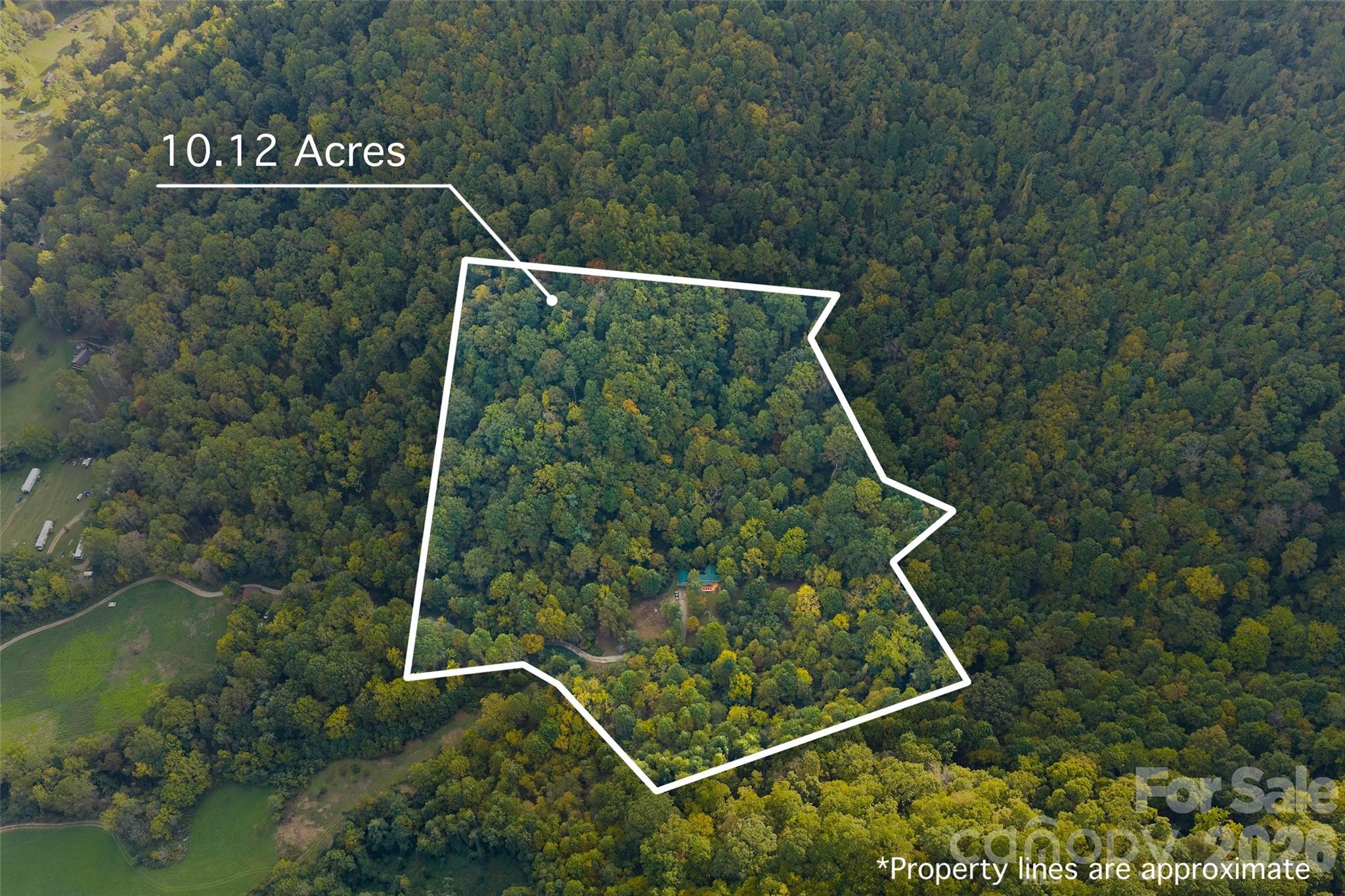 1087 North Turkey Creek Road Leicester, NC 28748 - Photo 36 of 40