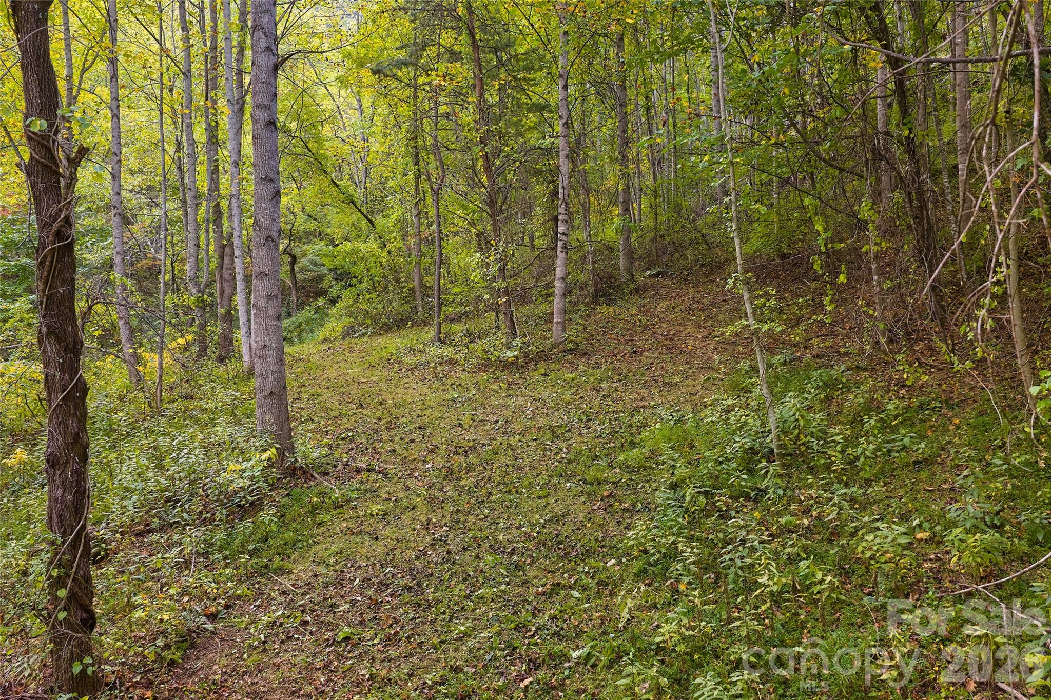 1087 North Turkey Creek Road Leicester, NC 28748 - Photo 38 of 40
