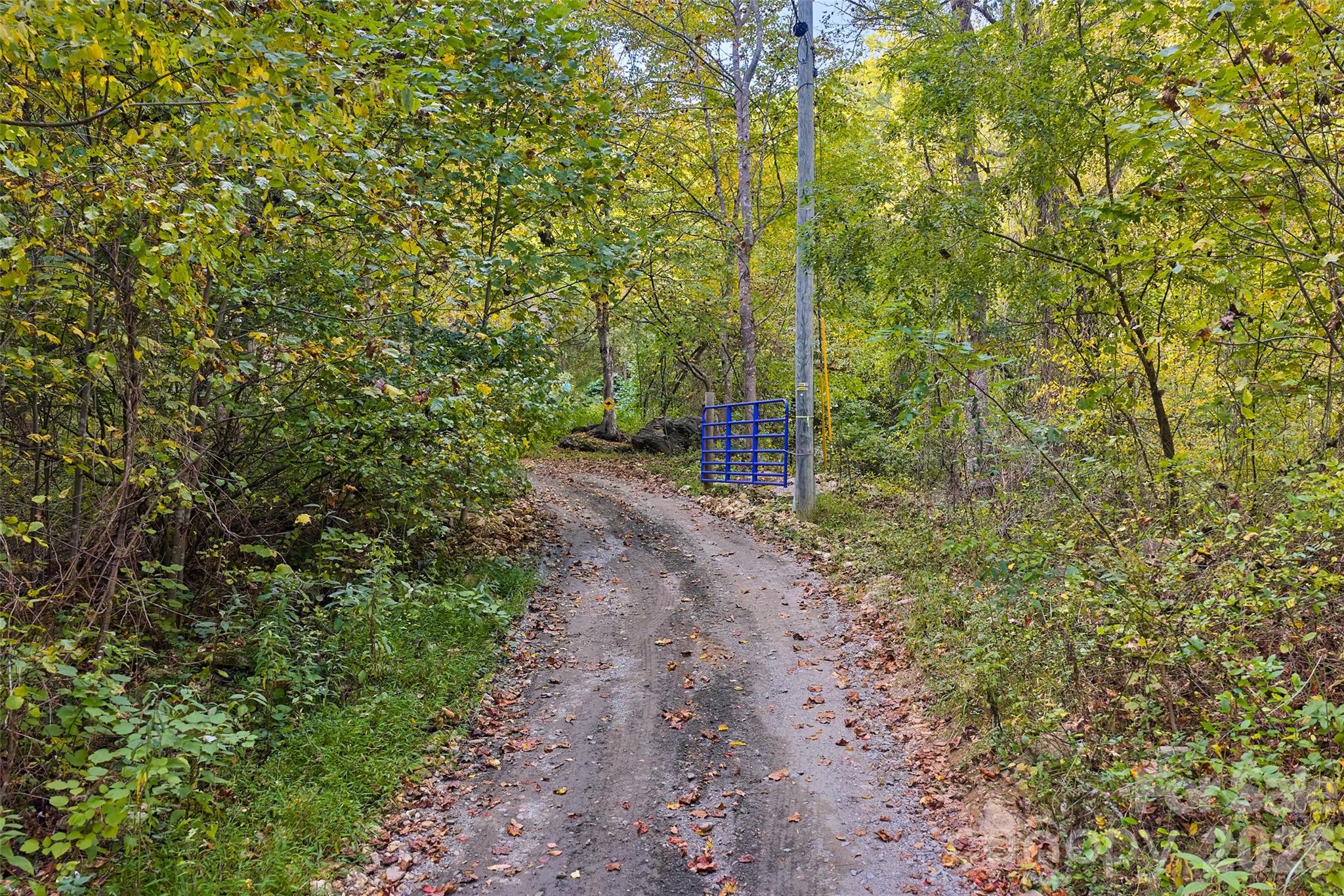 1087 North Turkey Creek Road Leicester, NC 28748 - Photo 39 of 40